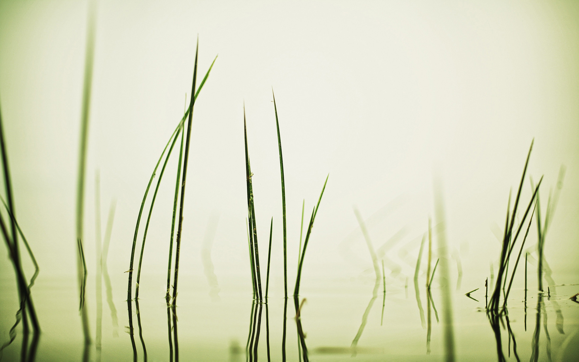 1920 x 1080 HD Wallpapers 1149